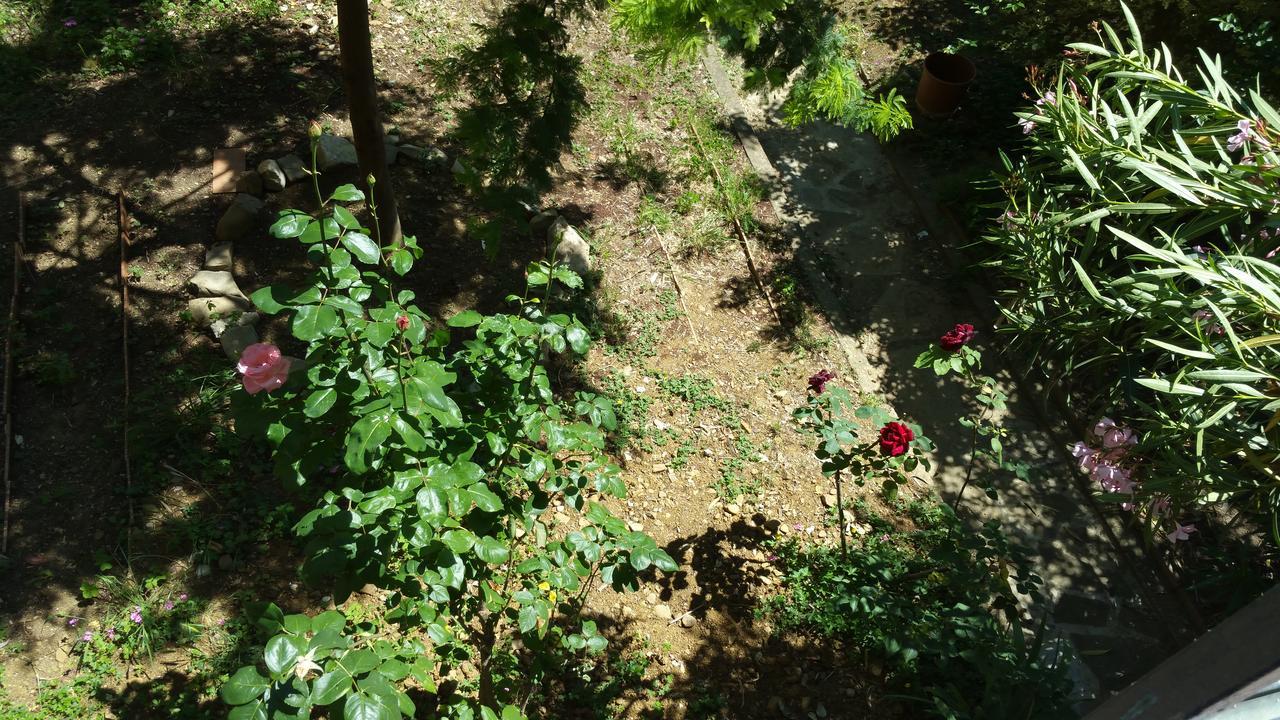 La Nei Fiori